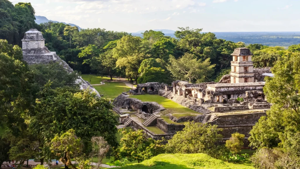 Palenque to dżungla i świątynie Indian