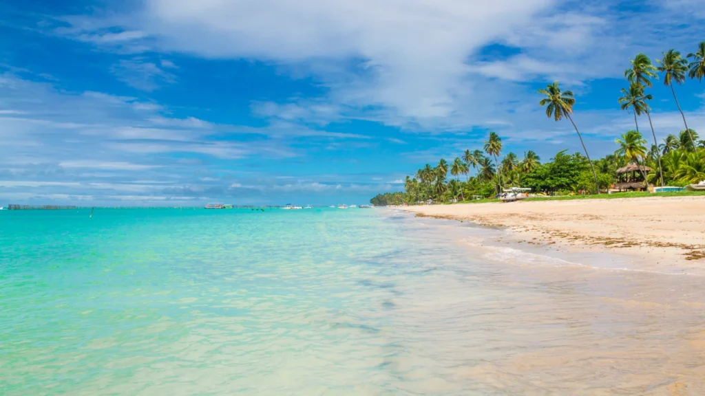 Plaża Maragogi w Alagoas