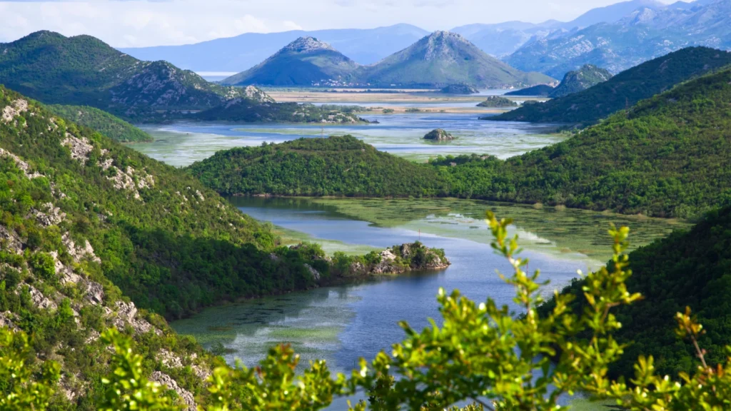 Jezioro Szkoderskie, Czarnogóra